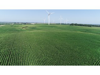 Bureau County, Illinois farmland - LAND AND WIND RIGHTS AUCTION - 337+/- ACRES IN 4 TRACTS IN BUREAU COUNTY, ILLINOIS